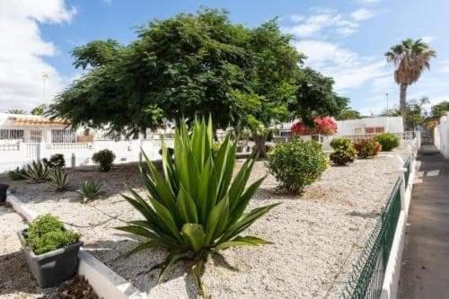 Casa Sandra กอสตา เดล ซิเลนซิโอ ภายนอก รูปภาพ